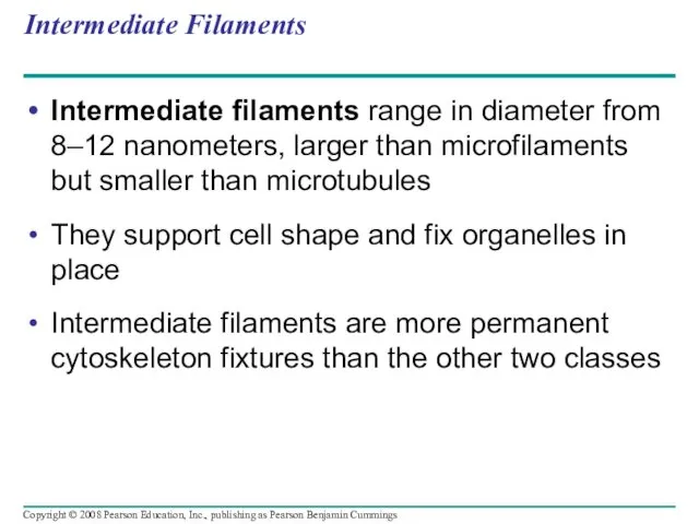 Intermediate Filaments Intermediate filaments range in diameter from 8–12 nanometers,