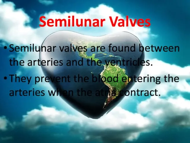 Semilunar Valves Semilunar valves are found between the arteries and