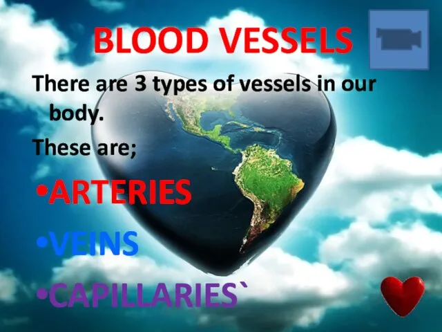 BLOOD VESSELS There are 3 types of vessels in our body. These are; ARTERIES VEINS CAPILLARIES`