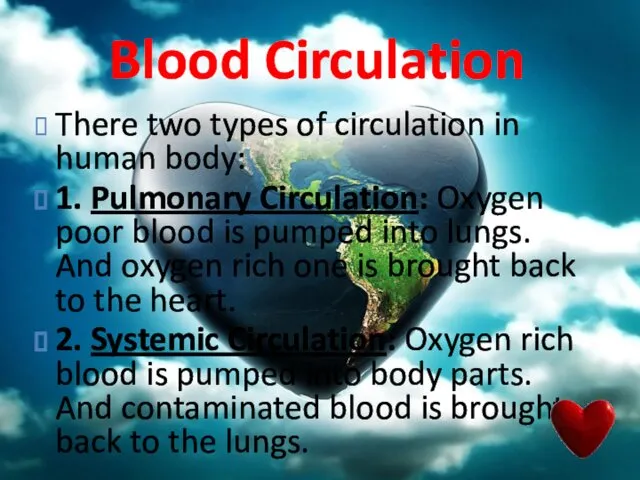 Blood Circulation There two types of circulation in human body: