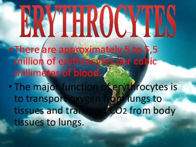 There are approximately 5 to 5,5 million of erythrocytes per