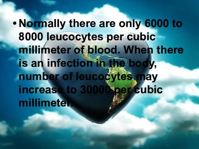 Normally there are only 6000 to 8000 leucocytes per cubic