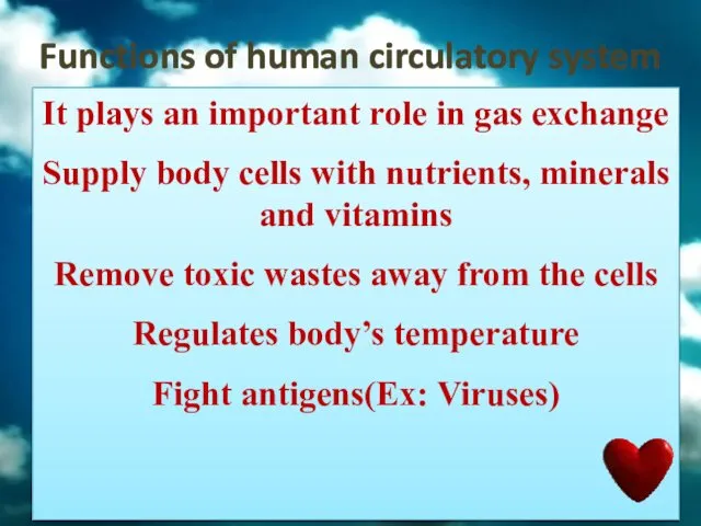 Functions of human circulatory system It plays an important role