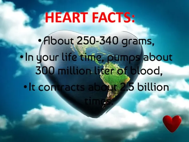 HEART FACTS: About 250-340 grams, In your life time, pumps