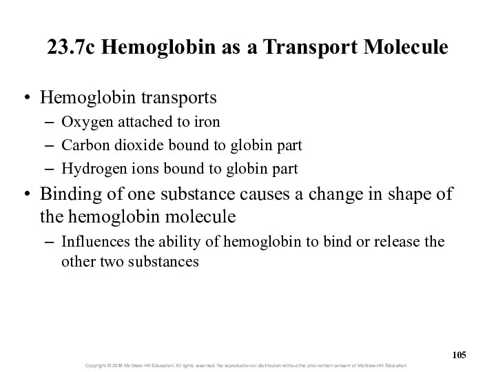 23.7c Hemoglobin as a Transport Molecule Hemoglobin transports Oxygen attached