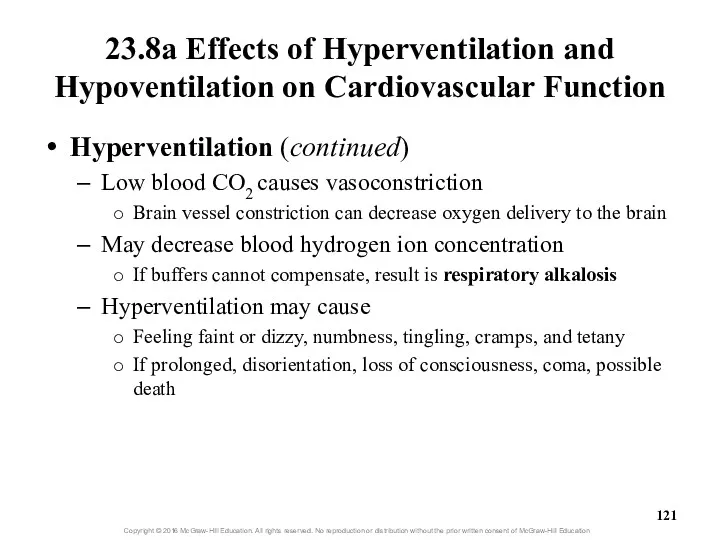 23.8a Effects of Hyperventilation and Hypoventilation on Cardiovascular Function Hyperventilation