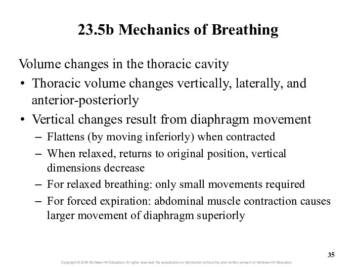 23.5b Mechanics of Breathing Volume changes in the thoracic cavity