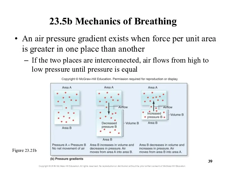 23.5b Mechanics of Breathing An air pressure gradient exists when