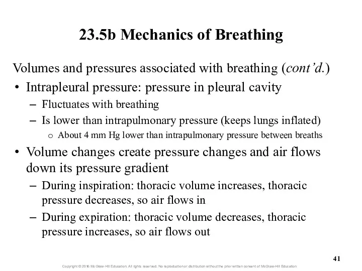 23.5b Mechanics of Breathing Volumes and pressures associated with breathing