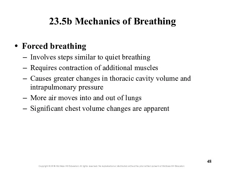 23.5b Mechanics of Breathing Forced breathing Involves steps similar to