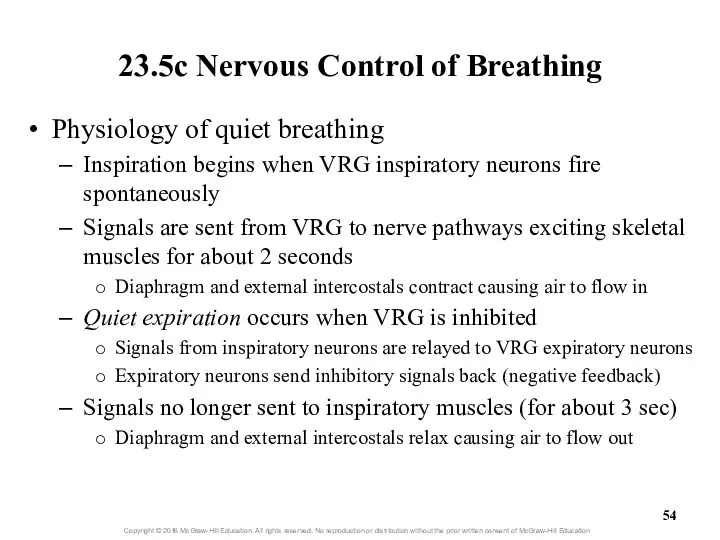 23.5c Nervous Control of Breathing Physiology of quiet breathing Inspiration