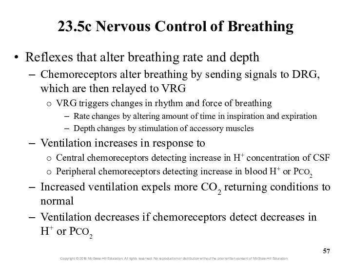 23.5c Nervous Control of Breathing Reflexes that alter breathing rate