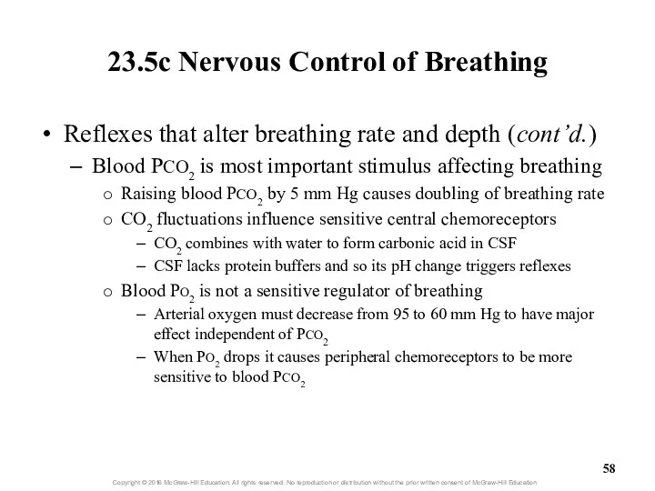 23.5c Nervous Control of Breathing Reflexes that alter breathing rate