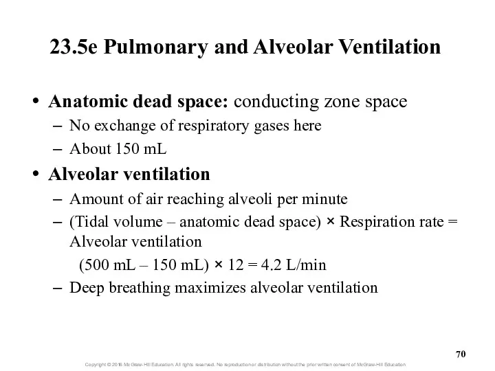 23.5e Pulmonary and Alveolar Ventilation Anatomic dead space: conducting zone