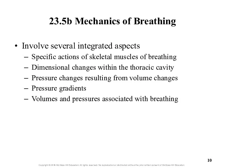 23.5b Mechanics of Breathing Involve several integrated aspects Specific actions