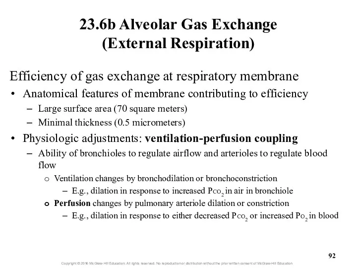 23.6b Alveolar Gas Exchange (External Respiration) Efficiency of gas exchange