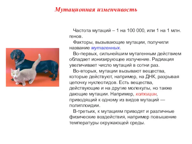 Частота мутаций – 1 на 100 000, или 1 на