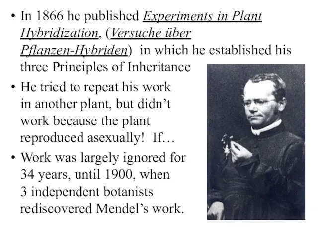 In 1866 he published Experiments in Plant Hybridization, (Versuche über