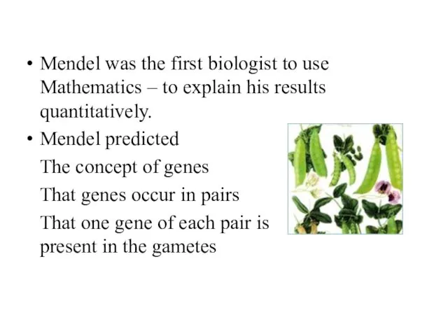 Mendel was the first biologist to use Mathematics – to