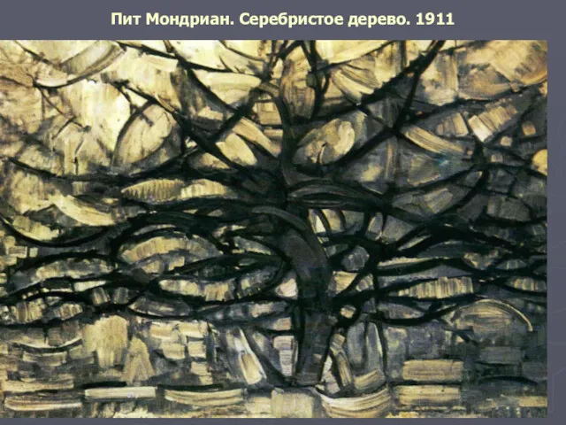 Пит Мондриан. Серебристое дерево. 1911