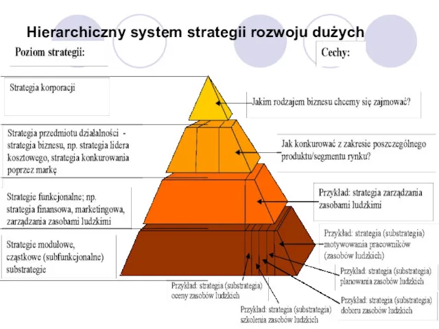 Hierarchiczny system strategii rozwoju dużych organizacji