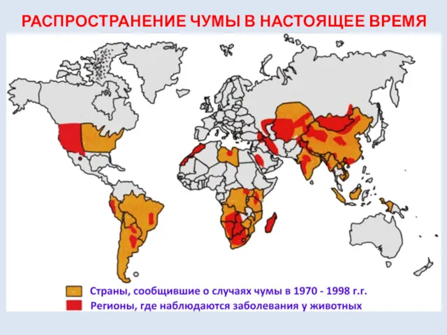 РАСПРОСТРАНЕНИЕ ЧУМЫ В НАСТОЯЩЕЕ ВРЕМЯ