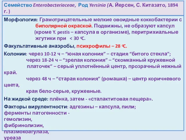 Семейство Enterobacteriaceae, Род Yersinia (А. Йерсен, С. Китазато, 1894 г.