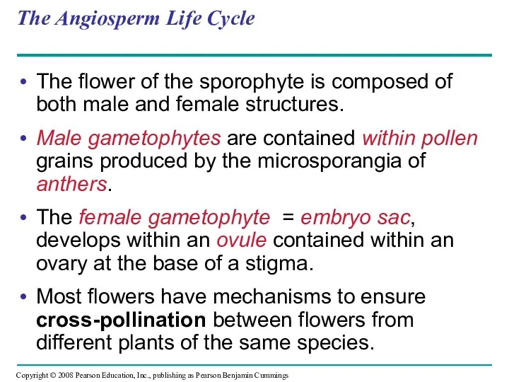 The Angiosperm Life Cycle The flower of the sporophyte is