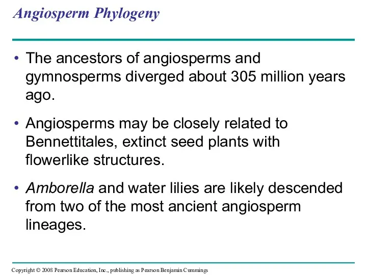 Angiosperm Phylogeny The ancestors of angiosperms and gymnosperms diverged about