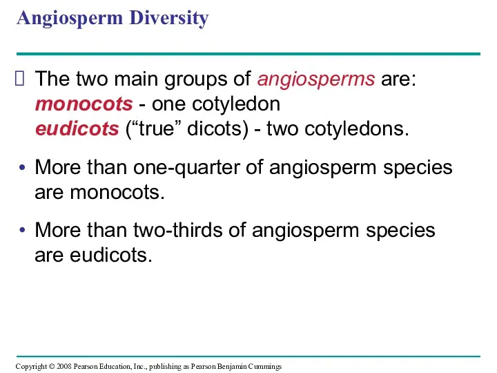 Angiosperm Diversity The two main groups of angiosperms are: monocots