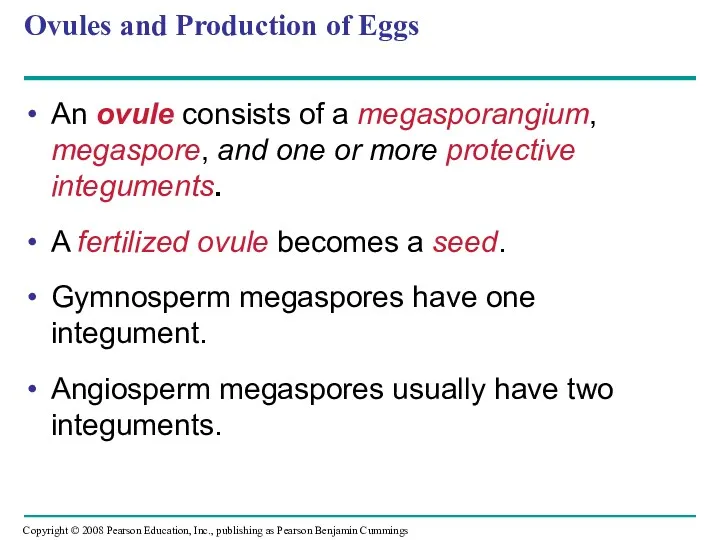 Ovules and Production of Eggs An ovule consists of a