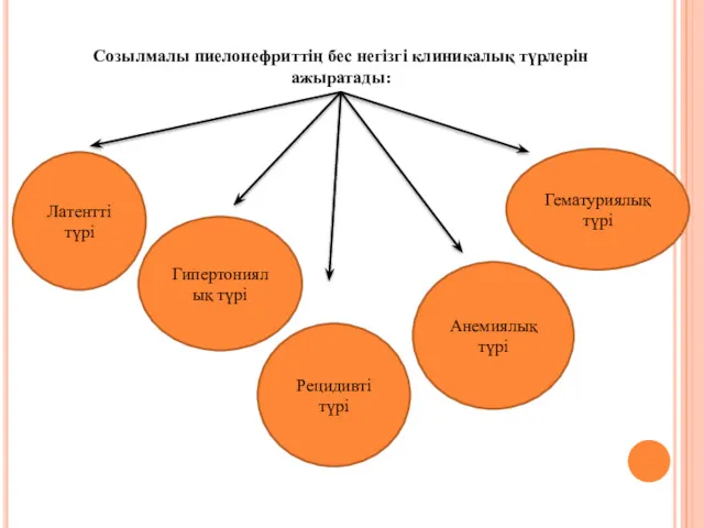 Созылмалы пиелонефриттің бес негізгі клиникалық түрлерін ажыратады: Латентті түрі Гипертониялық