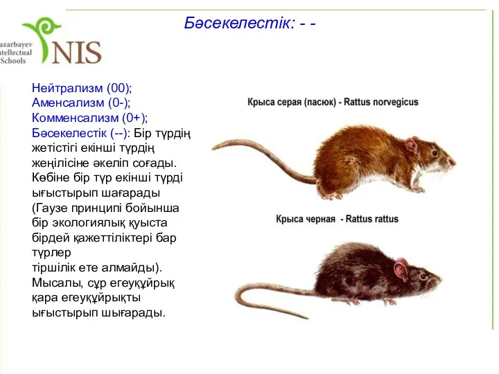 Нейтрализм (00); Аменсализм (0-); Комменсализм (0+); Бәсекелестік (--): Бір түрдің