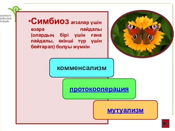 Симбиоз ағзалар үшін өзара пайдалы (олардың бірі үшін ғана пайдалы,