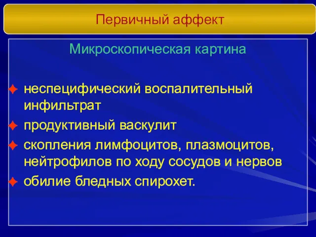 Первичный аффект Микроскопическая картина неспецифический воспалительный инфильтрат продуктивный васкулит скопления