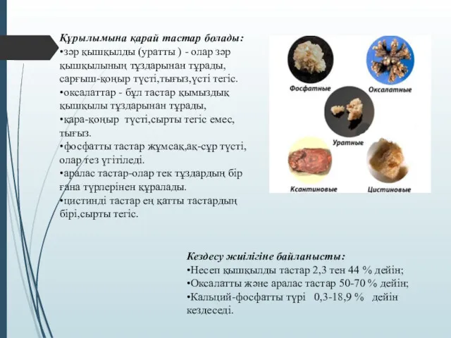 Құрылымына қарай тастар болады: •зәр қышқылды (уратты ) - олар