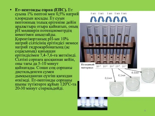 Ет-пептонды сорпа (ЕПС). Ет суына 1% пептон мен 0,5% натрий