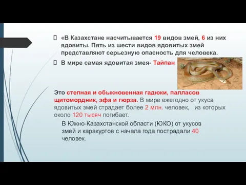 «В Казахстане насчитывается 19 видов змей, 6 из них ядовиты.