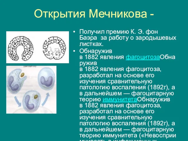 Открытия Мечникова - Получил премию К. Э. фон Баэра за