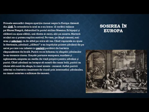 SOSIREA ÎN EUROPA Primele semnalări despre apariția ciumei negre în