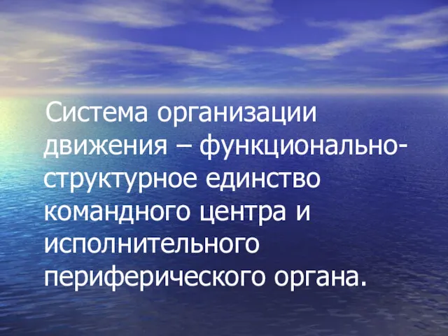 Система организации движения – функционально-структурное единство командного центра и исполнительного периферического органа.