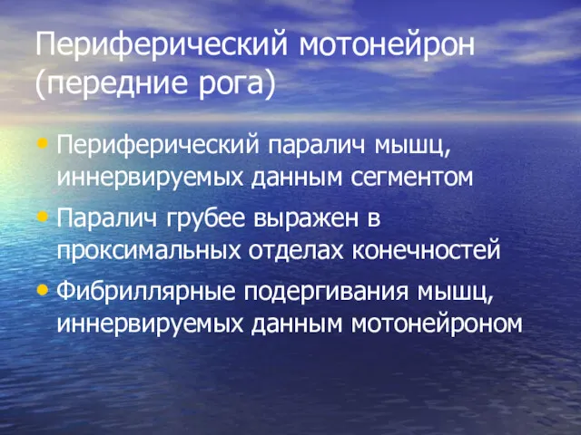 Периферический мотонейрон (передние рога) Периферический паралич мышц, иннервируемых данным сегментом