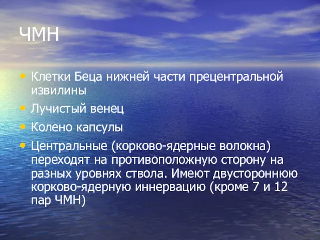 ЧМН Клетки Беца нижней части прецентральной извилины Лучистый венец Колено