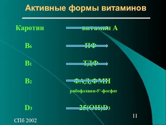 СПб 2002 Активные формы витаминов Каротин витамин А В6 ПФ