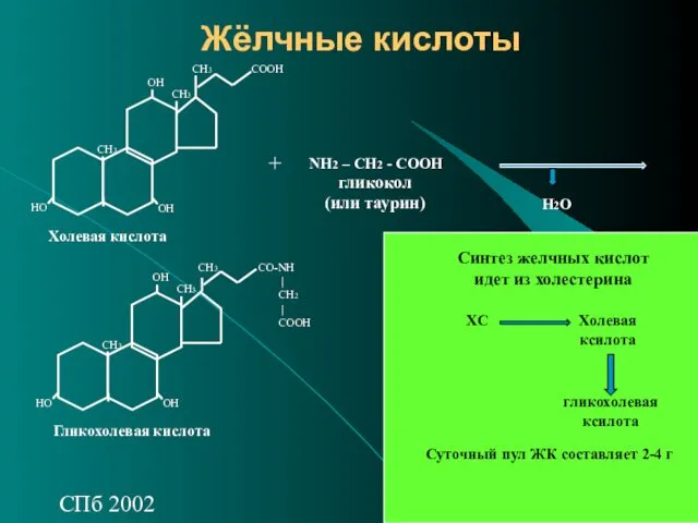 СПб 2002 Жёлчные кислоты ОН НО ОН СН3 СН3 СН3