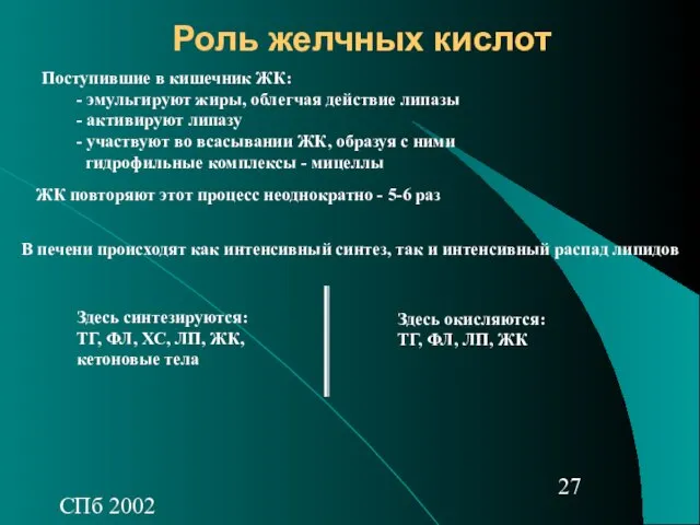 СПб 2002 Роль желчных кислот Поступившие в кишечник ЖК: -