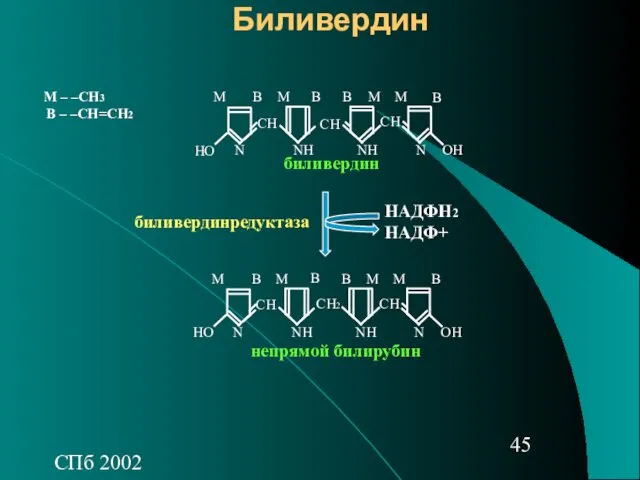 СПб 2002 Биливердин СН СН2 СН ОН НО NН NН