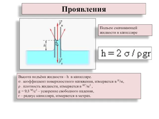 Проявления Подъем смачивающей жидкости в капилляре Высота подъёма жидкости -