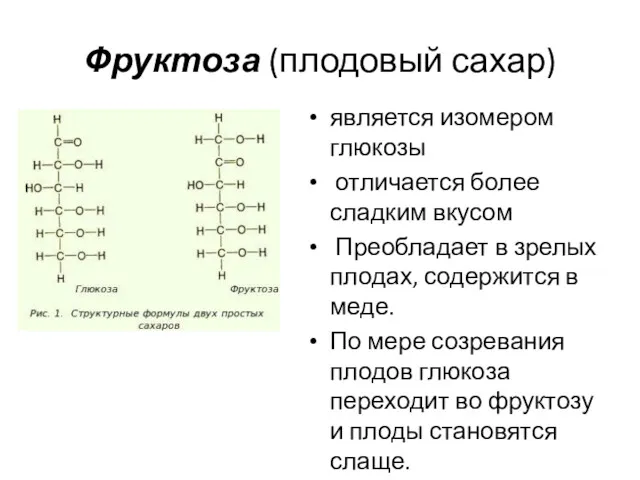 Фруктоза (плодовый сахар) является изомером глюкозы отличается более сладким вкусом