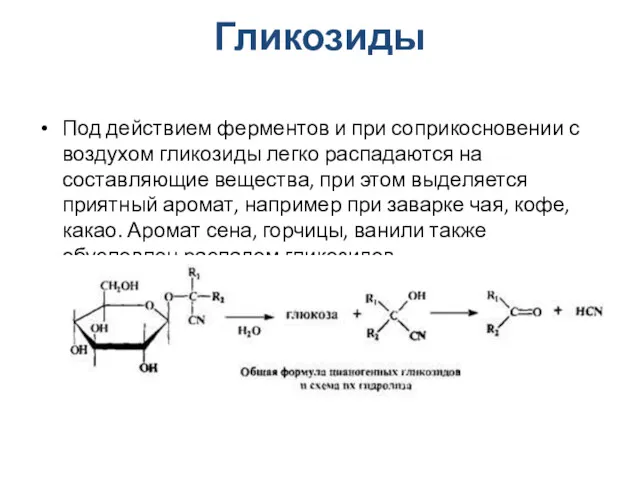 Гликозиды Под действием ферментов и при соприкосновении с воздухом гликозиды